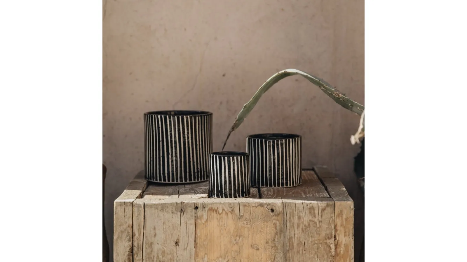 Candela Céramic Collection Zebrata di Côté Bougie
